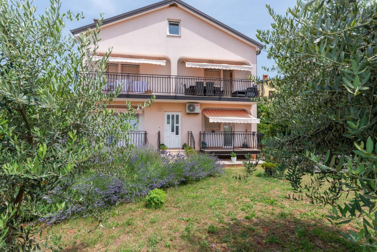 Apartment Masha Novigrad Istria المظهر الخارجي الصورة